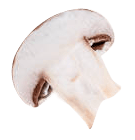campinon