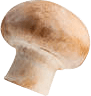 champinon-4