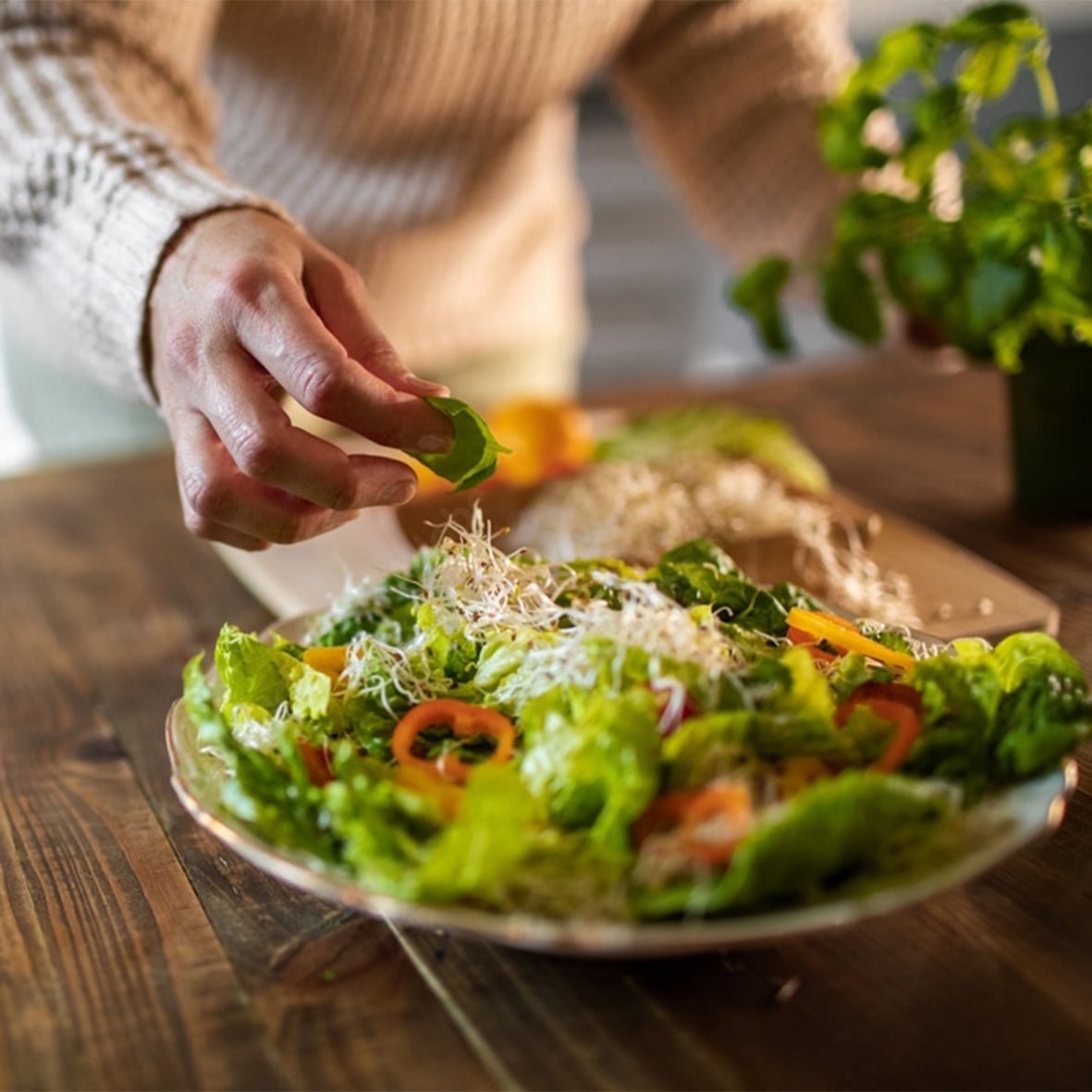 Photo Salade - le soleil de nana - accueil