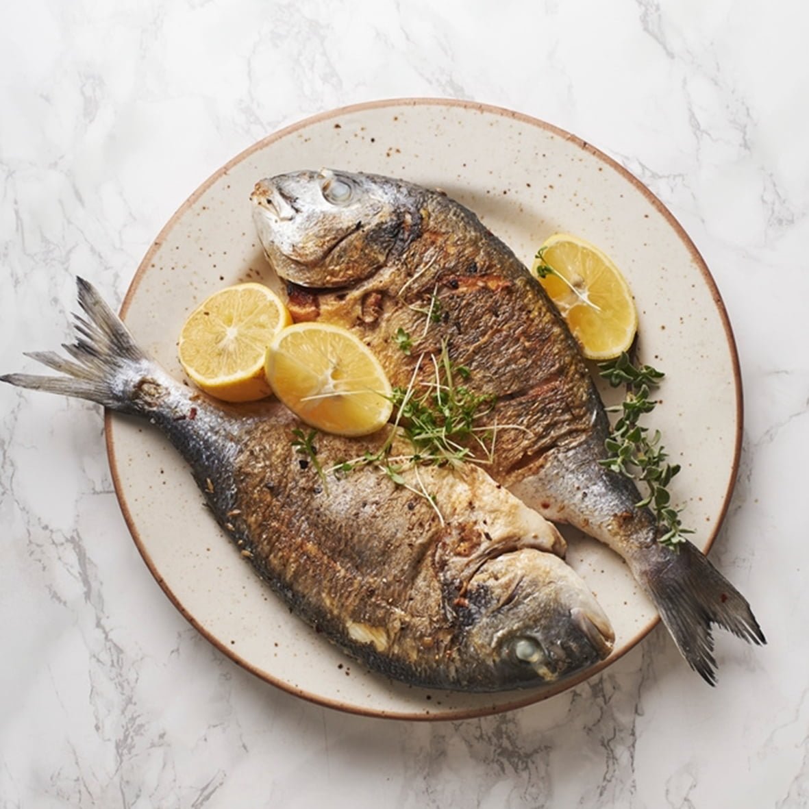 Photo poisson - le soleil de nana - Accueil